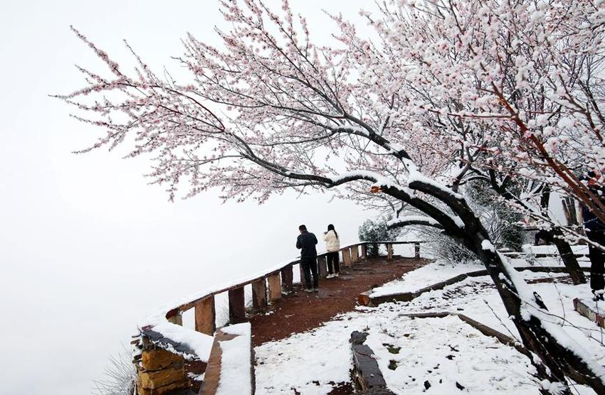 雪卧太行风景秀