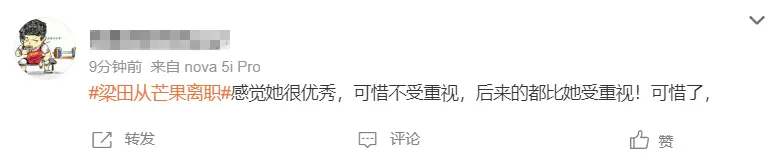 芒果台主持人梁田离职，一句话道出辛酸处境，谢娜沈梦辰该脸红了