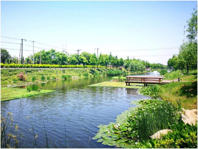 杭州河庄街道：“五水共治”绘就水乡田园画卷