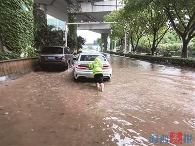 暴雨倾盆  暖心故事“处处闻”