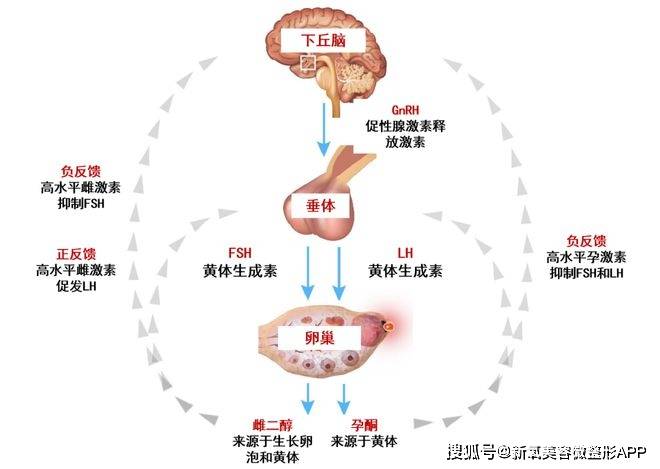 原来真可以靠谈恋爱变美啊？！那她恋情不断不会是...