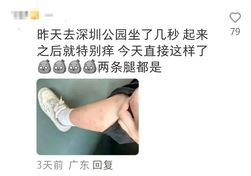 崩溃！这个“吸血鬼”，又猛又难缠！最近多人中招，街坊：去年的还未好，今年又续上