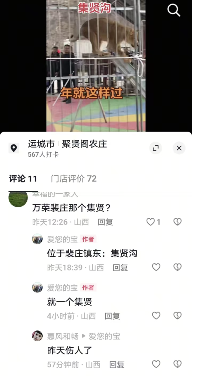 山西万荣一马戏团狮子表演时抓倒驯兽师？涉事农庄：人未受伤，狮子也无大牙