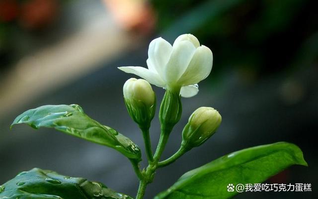 大姑姐儿子在我家住了6年，现在他年薪百万，我想讨回衣食费用