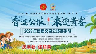“稻花香”里话丰收！2023年首届文昌公坡香米节真“嗨”