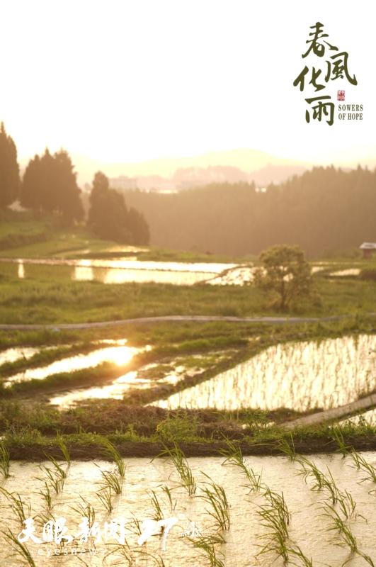 在贵州调研和取景，后天多平台播出｜《春风化雨》剧中美景提前赏