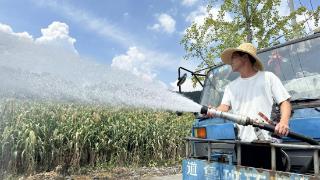 仁怀：引水灌溉为农作物“消暑解渴”