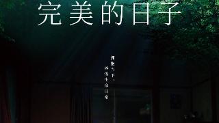 2023年戛纳影帝获奖作《完美的日子》内地定档11.15 役所广司主演豆瓣评分8.5