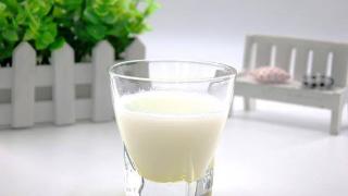 啥时候喝牛奶好？睡前喝，会变毒牛奶，还易长胖？正确喝法要知道