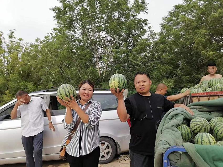 开封通许县竖岗镇：西瓜喜丰收 瓜农笑开颜