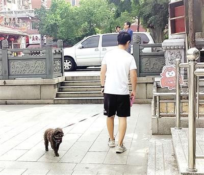 文明养犬“不掉链” 爱宠有方“不随便”