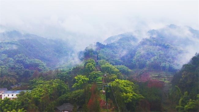 新场景频现 洪雅文旅市场成为热度新“高地”