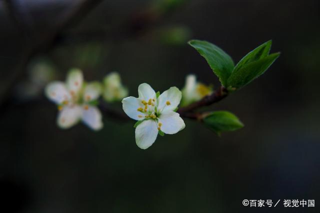 看一个人层次高低，看以下这六点就知道了，助你看人不走眼！