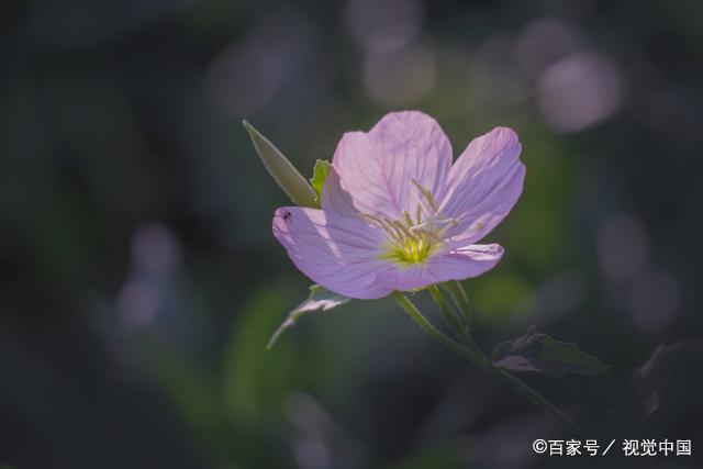 到了晚年，才看清：想要儿女孝顺，作为父母不能做这两件事