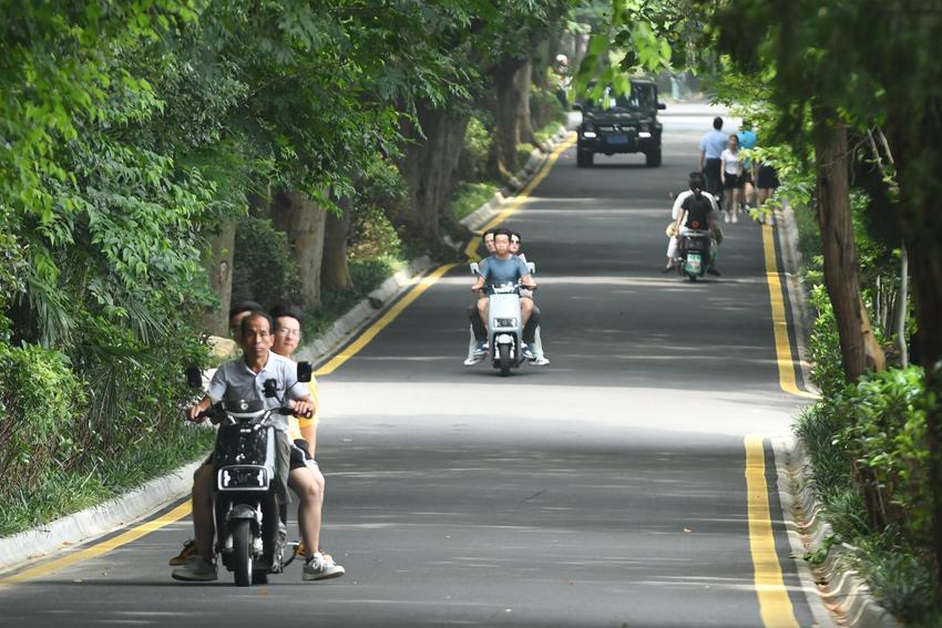 一车载六人！电动自行车集聚南京钟山风景区违规拉客