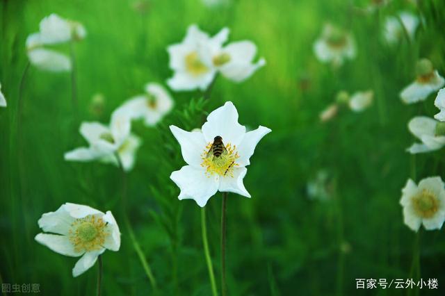 那些没有结婚的女人，晚年过得怎么样？3个老人说出了心里话