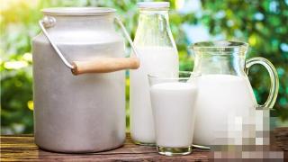 鲜牛奶凝固会影响食用吗