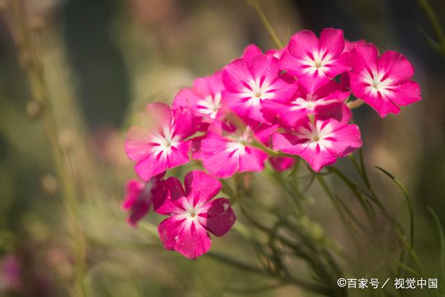 真正有远见的父母在见亲家时，懂得丑话说在前，是在帮儿女铺路