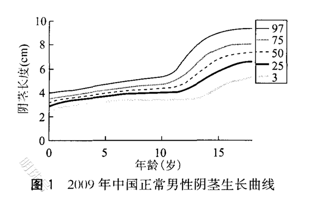 孩子小鸡鸡要是有这4种情况，家长要注意排查，不妨看看