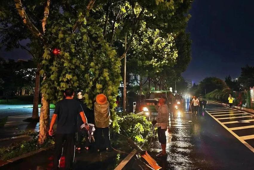 闻“汛”而动，风雨无阻！日照市园林环卫集团全力抢险保通畅