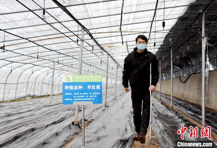 回乡学子拄拐种植羊肚菌 创新致富路报恩父老乡亲