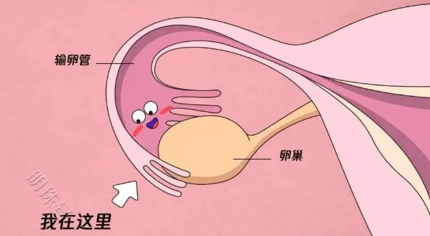 昆明送子鸟：有这几种情况，你就需要做输卵管检查了