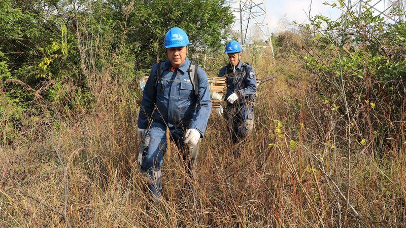 “全国劳模”龙福刚：研发应用安全工具器为输电线路畅通运行保驾护航