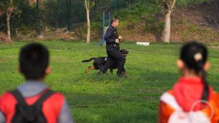 走进警犬基地和“汪星战士”交朋友