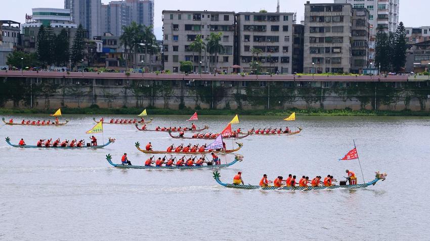 四会：看驯“龙”高手大显身手