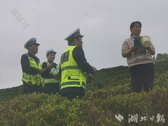 广水采茶旺季，交通安全“警”相随