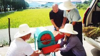 江西东乡开展实割实测培训“把脉”早稻生产