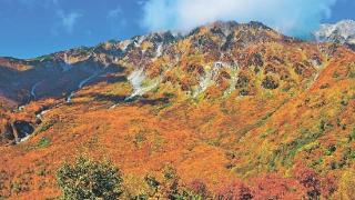 日本立山黑部的红叶进入最佳观赏季 比往年晚了一周