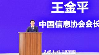 聚焦2024数博会丨中国信息协会会长王金平：数字政府是数字化发展的火车头