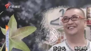 古佩玲依旧受捧，苏韵姿归期未明，《爱回家》已是残缺不全