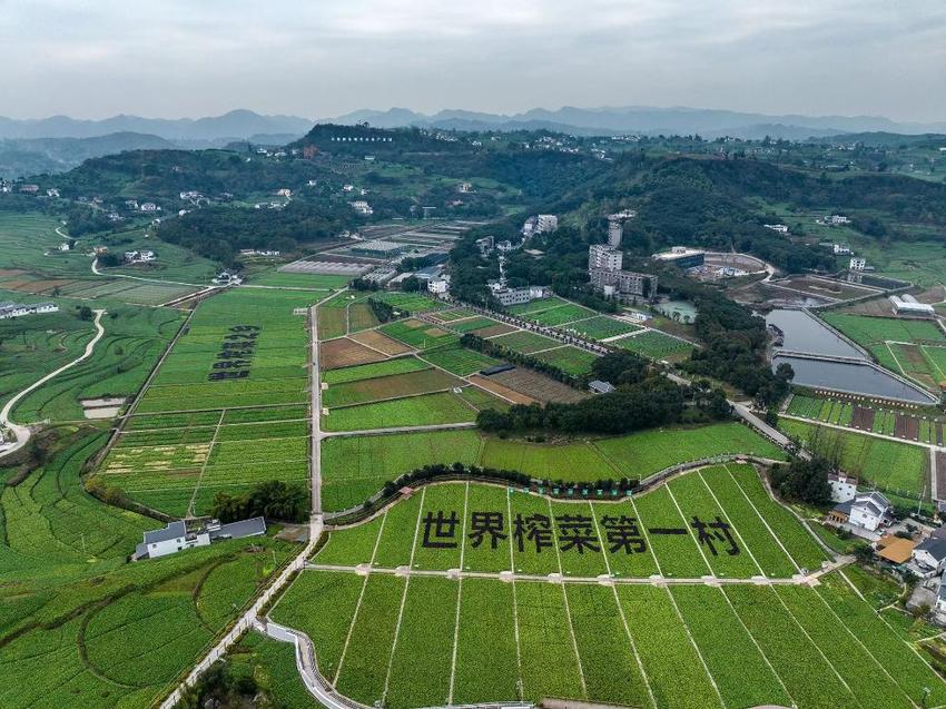 提升乡村颜值盘活闲置农房 这个委员工作室让“榨菜村”旧貌换新颜