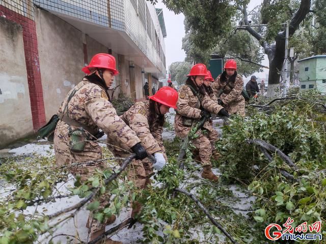 武警张家界支队官兵全力搜救大棚垮塌被困群众