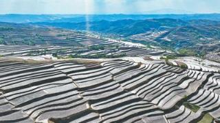 人民日报看青海|加大农业新技术推广 助力农业高质量发展