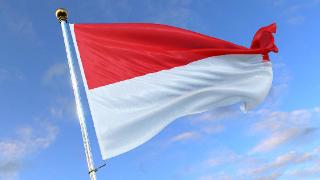 印尼驻俄大使：印尼正在考虑加入“金砖国家”