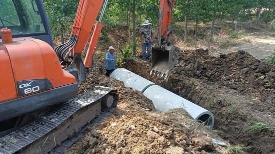 临沂沂河新区梅家埠街道多举措做好抗旱抢种保苗工作