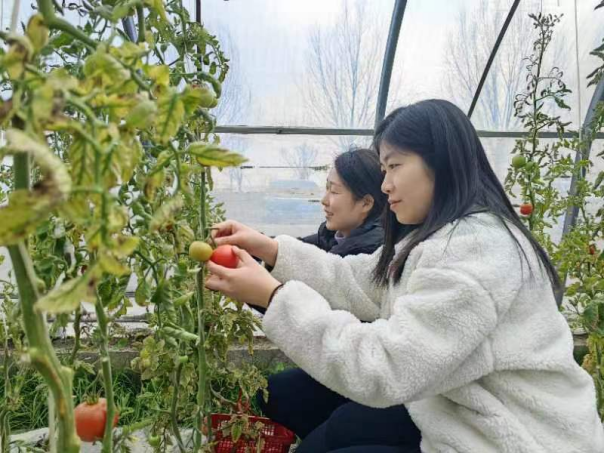 巾帼展风采，警心暖田园丨江苏连云港海州公安组织开展妇女节踏春采摘活动