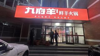 爱心土豆丨九府羊鲜羊火锅店爱心助农 助销1000斤土豆