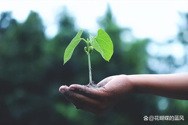 这一生，遇见人就好，看到事笑就好