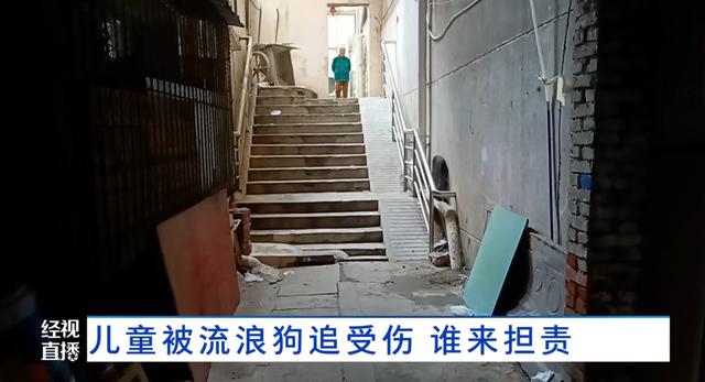 小孩在小区被狗狂追受伤，家长：已花费上万元…看看吧