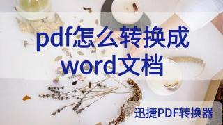 如何将不易更改内容的pdf文件转换成可编辑的word文档格式