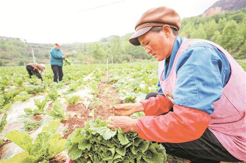 业兴村旺　景美人和