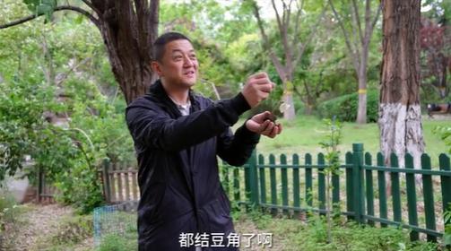 李亚鹏违规种植主动铲除，对管理方诚恳道歉，24节气视频将停更