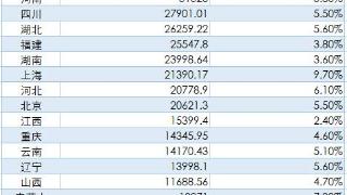 23个省份公布上半年经济数据，哪些产业在引领区域增长？