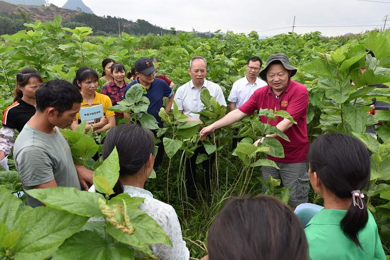 广东：基层党组织和党员发挥作用  奋力助推绿美广东生态建设