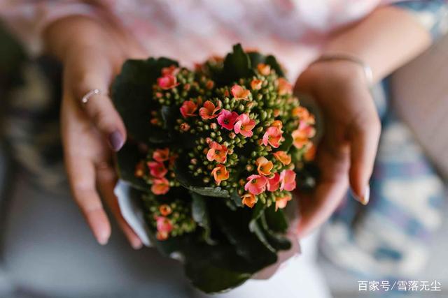 两个人之间，感情越来越深，需要耍些“心机”