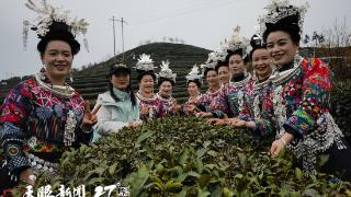 聚焦作代会·专访 | 孙红莺：正是歌飞烂漫时